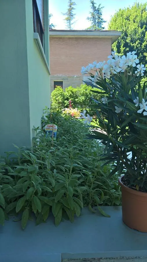Lumière B&B Castelfranco Emilia Bed & Breakfast
